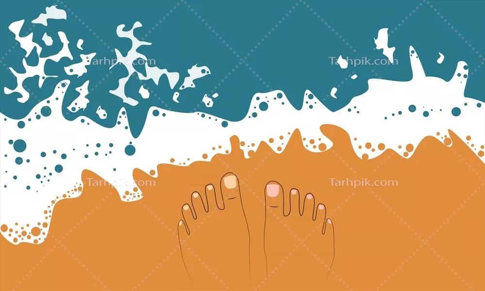 وکتور پایین پای ساحل: لذت بردن از شن و آب در کنار دریا