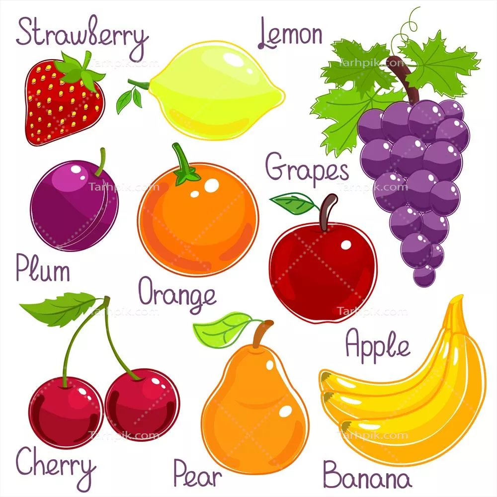 انتخاب میوههای تازه و رنگارنگ گرمسیری با برچسبهای وکتوری