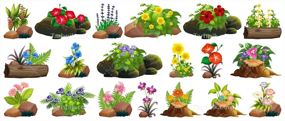 تصویر وکتوری گلهای رنگارنگ بر روی سنگها و چوب