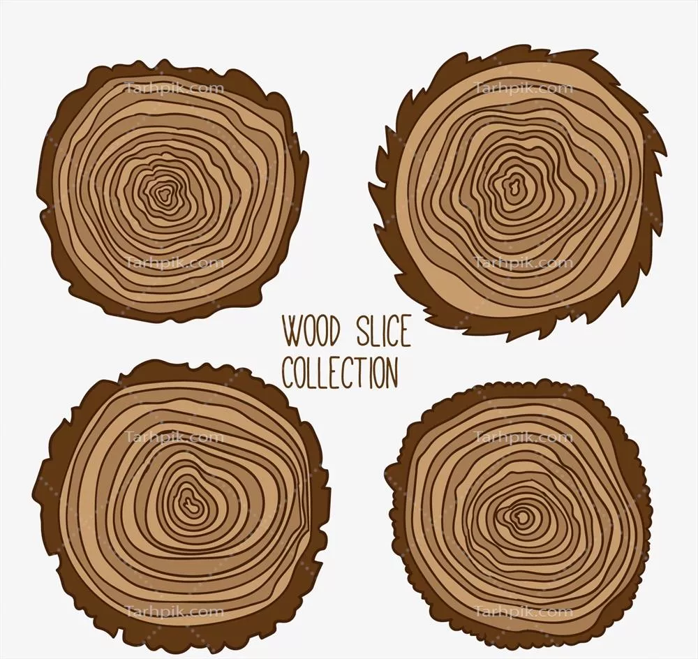 مجموعه طراحی وکتور شاخ و برگ به سبک تخت با جزئیات زیبا