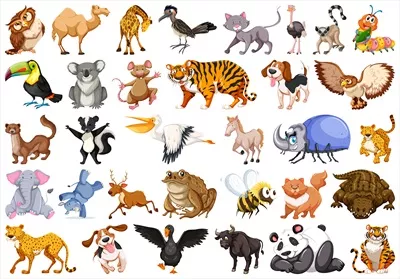 مجموعه‌ای از تصاویر وکتوری حیوانات وحشی برای طراحی گرافیکی