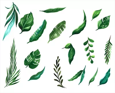 طراحی وکتور آب رنگی شامل عناصر گلدار و برگ‌ها