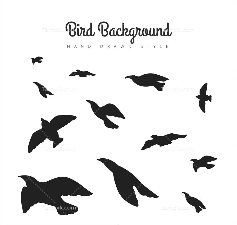 طرح پس‌زمینه وکتور سیلوئت پرنده در حال پرواز