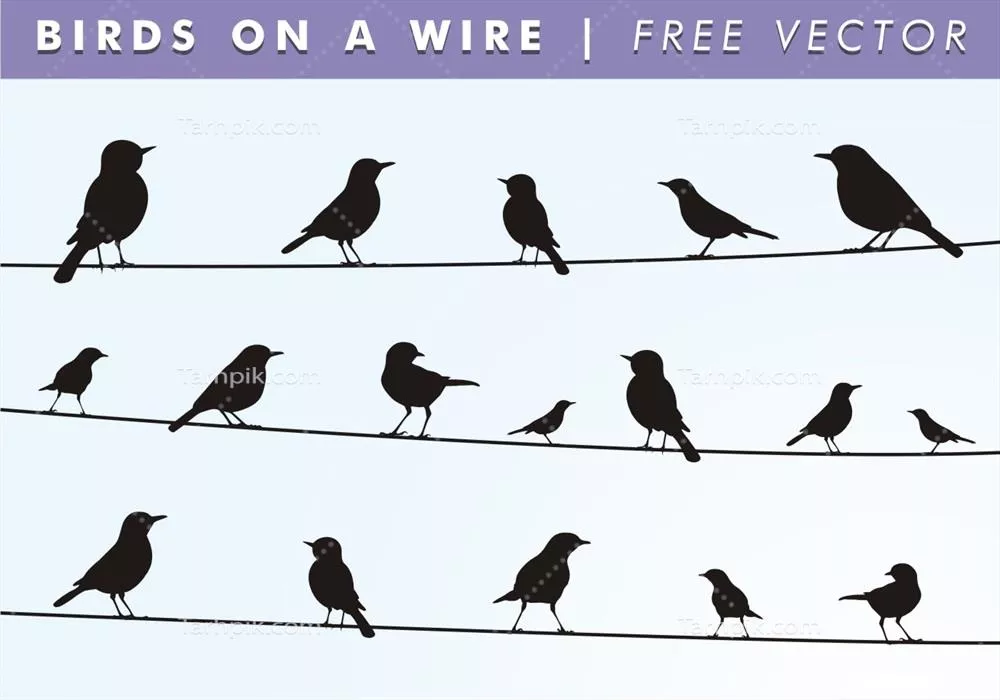 وکتور سکوت سیلوئت پرندگان ایستاده بر روی سیم به عنوان دکوری زیبا برای دیوارهای شما