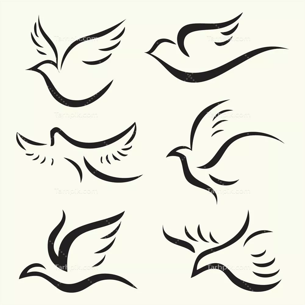 تصاویر سیلوئت پرندگان در حال پرواز: وکتور براش و طراحی