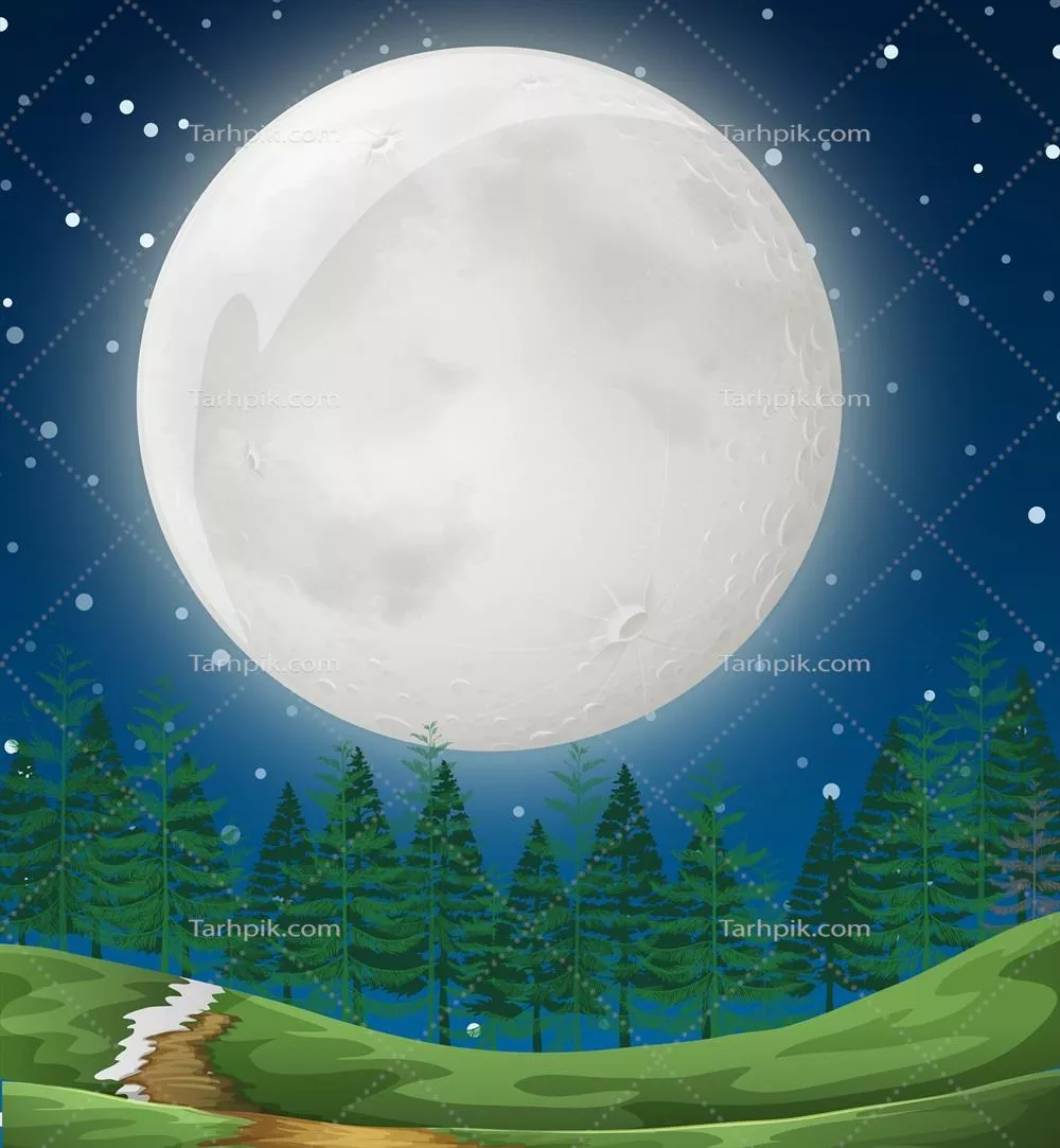 تصویر وکتوری ساده از صحنه شب در جنگل با ستارهها