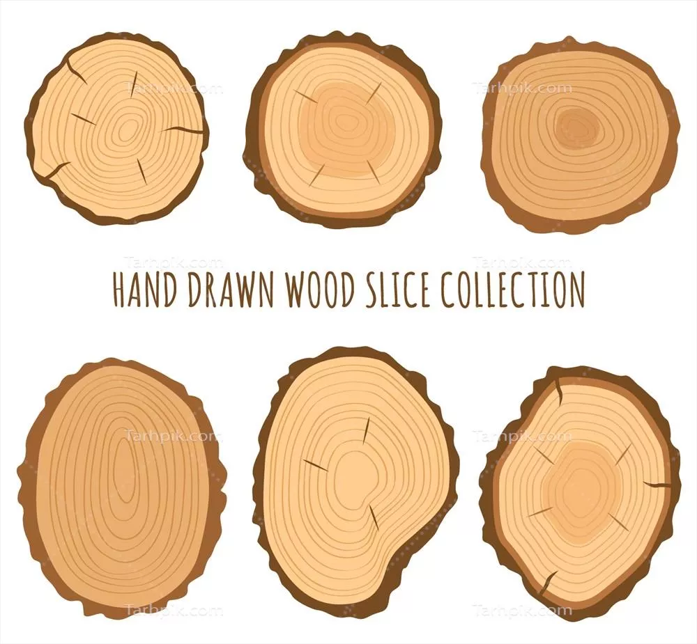 شش برش چوبی وکتور با کیفیت بالا برای طراحی‌های گرافیکی