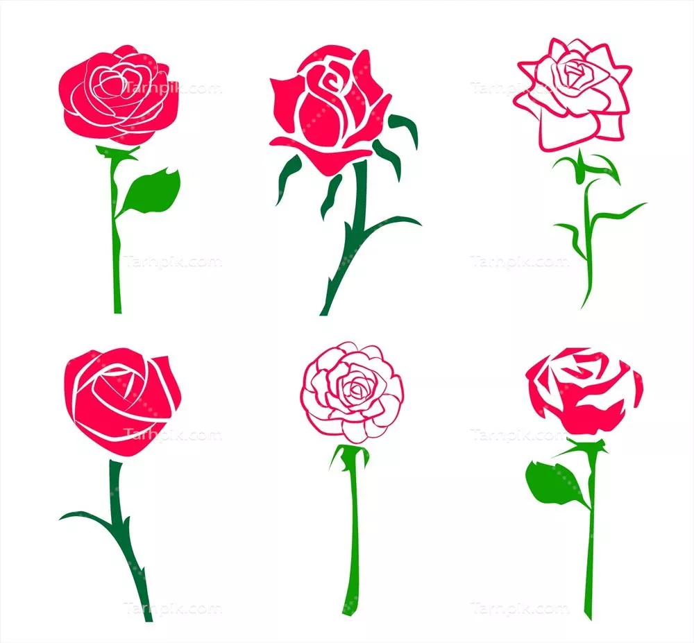 وکتور گلهای شکلی: طراحی مینیمالیستی و هنری از گلهای رز