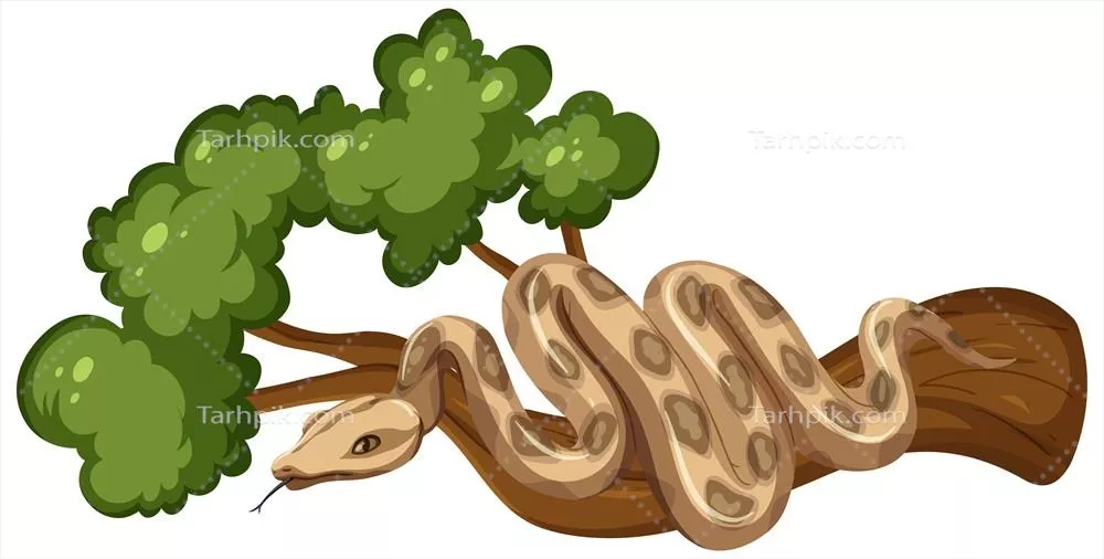 کتابخانه وکتور ایزوله از شاخه‌های مار به رنگ سفید