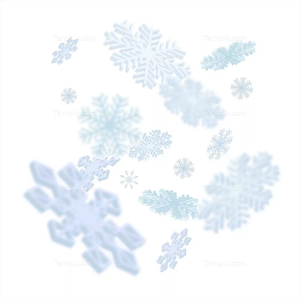 تصویری از برفریز شدن برفهای کاج در یک طراحی وکتور زیبا