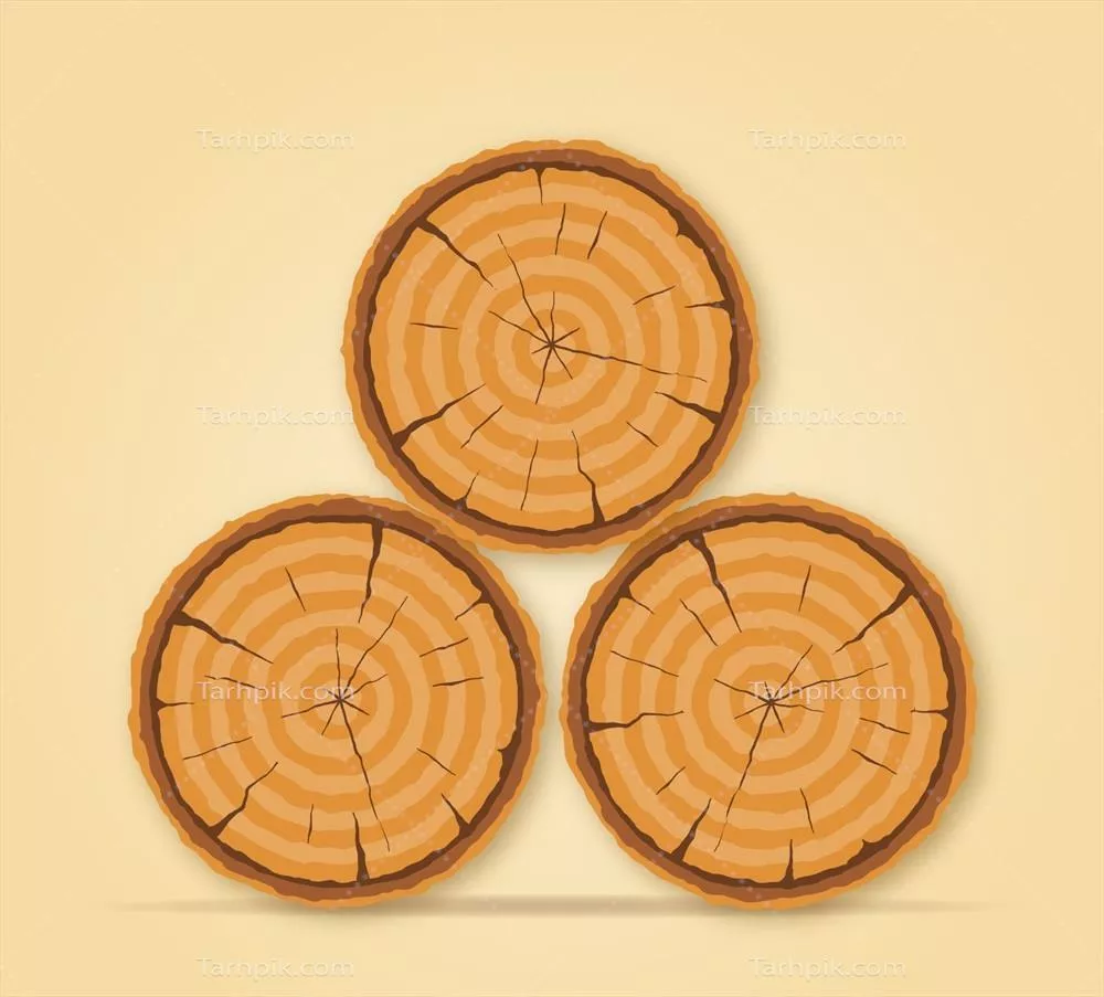 وکتور ساقه درخت با جزئیات و طراحی های سنجیده و زیبا