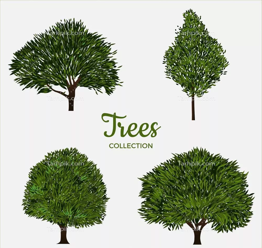مجموعه درختان با سبک واقعگرایانه - وکتور با کیفیت بالا