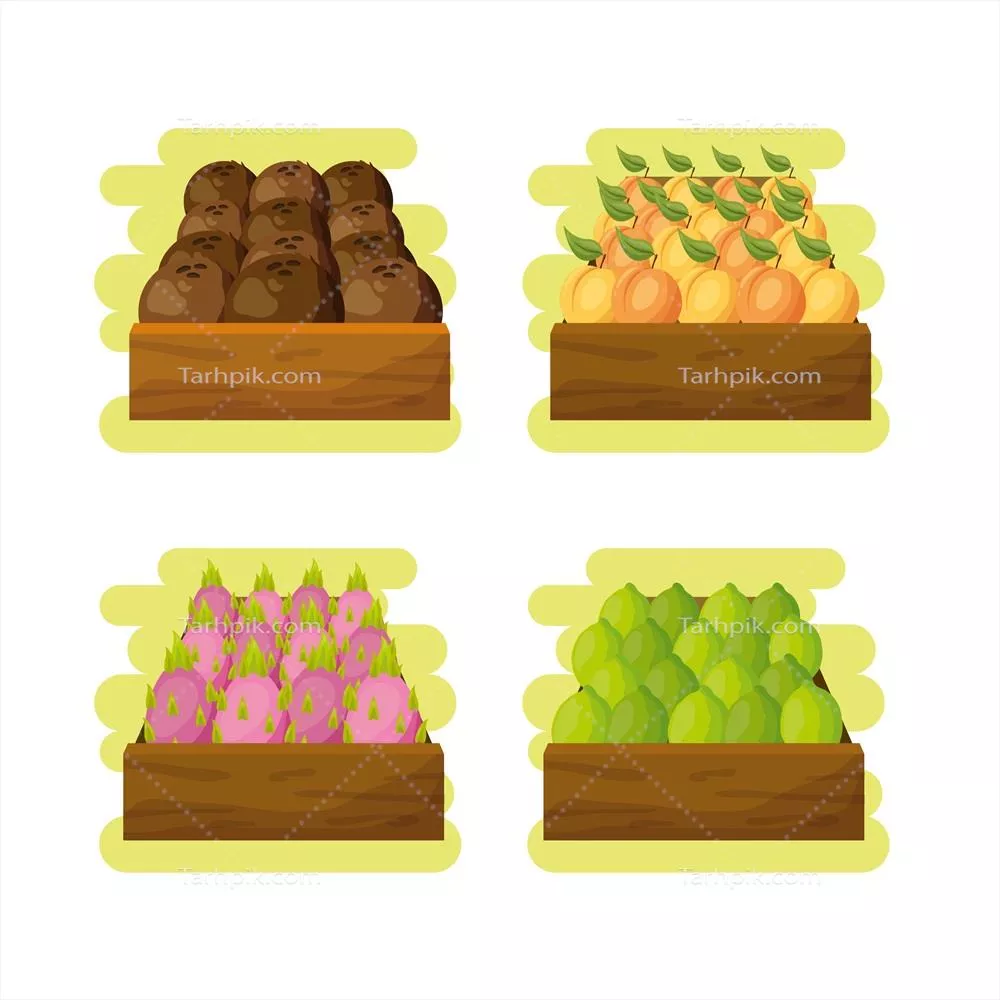 طرح وکتور پس‌زمینه میوه‌های گرمسیری با رنگ‌های شاداب و متنوع