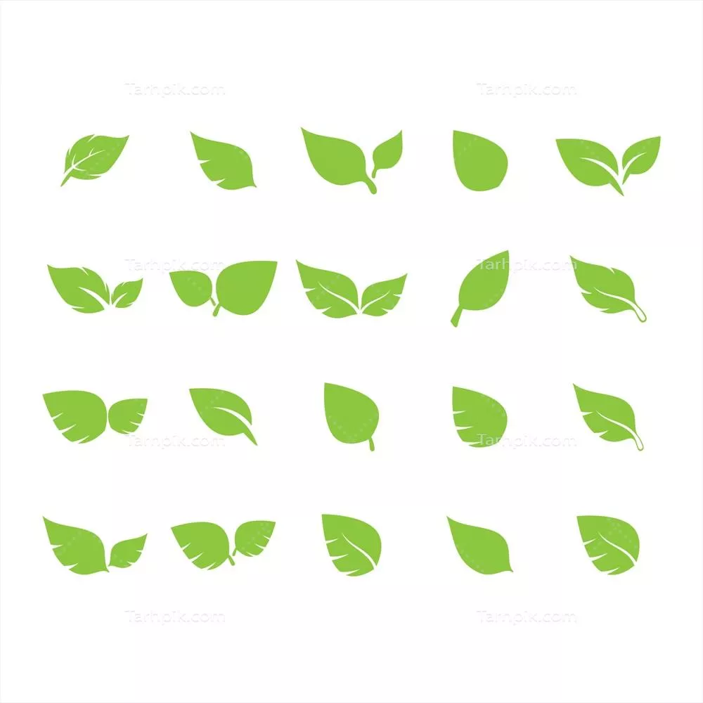 وکتور مجموعه کامل آرم نماد برگ سبز منحصر به فرد - بسته بصری جذاب