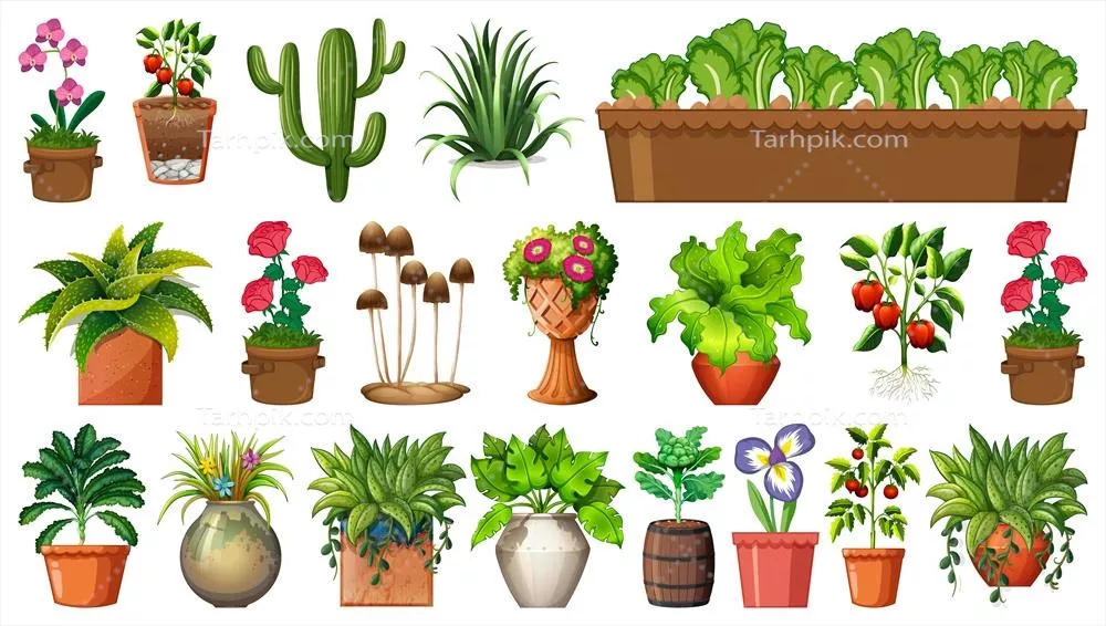 مجموعه گلدانهای متفاوت برای گیاهان در زمینه سفید - وکتور