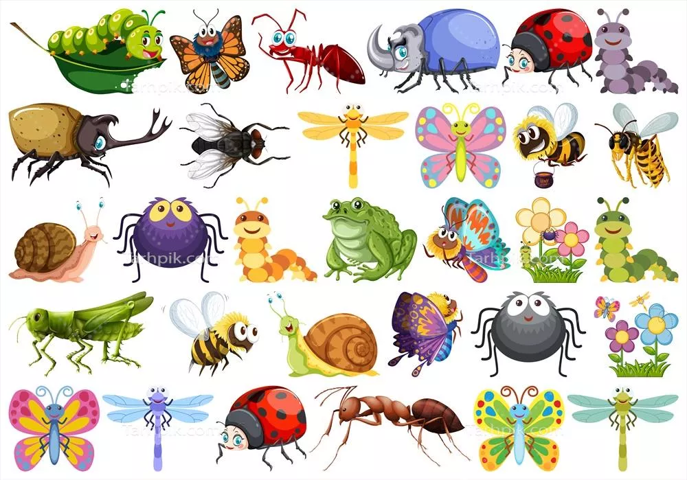 مجموعه کاراکترهای حشره ای وکتوری با طراحی جذاب و منحصر به فرد