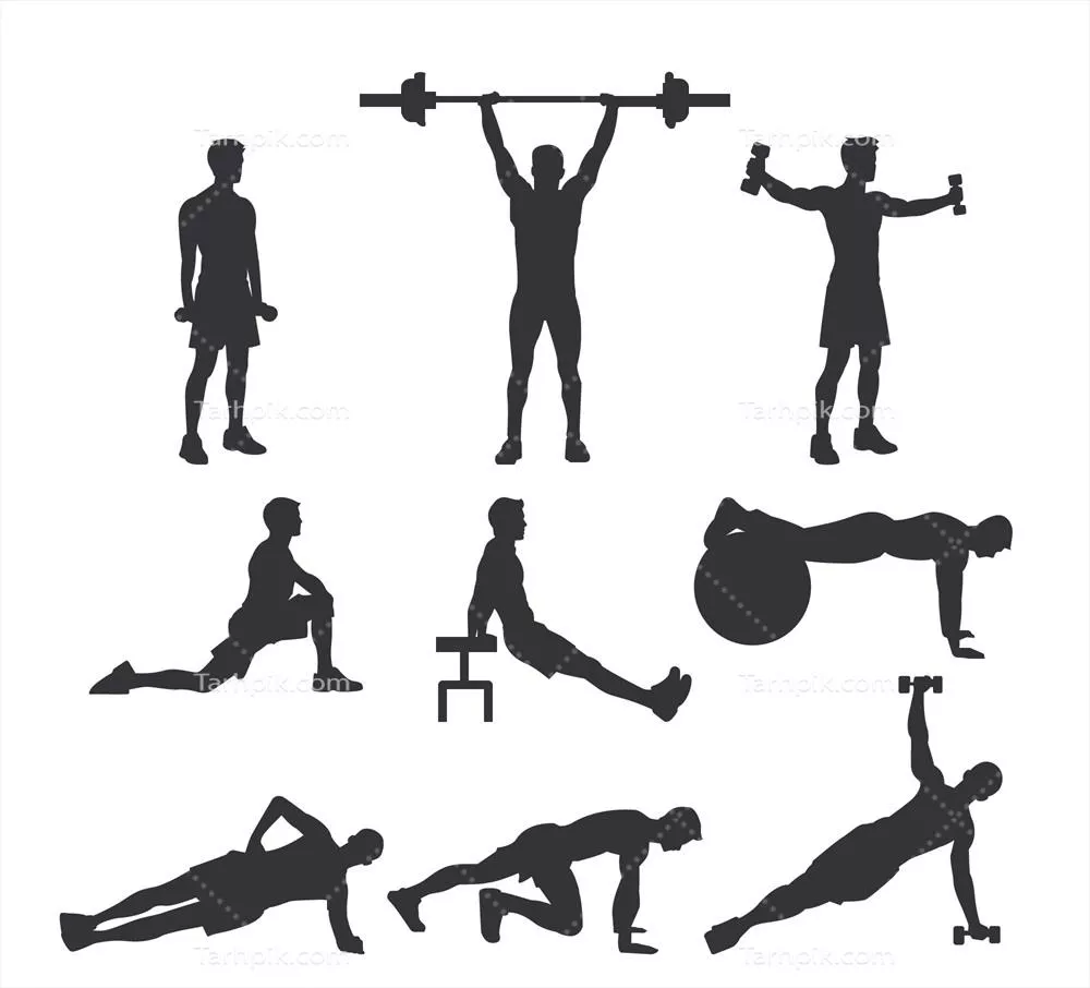 وکتور مجموعه ویژوال سیلوئت های کراس فیت آقایان در طراحی برداری