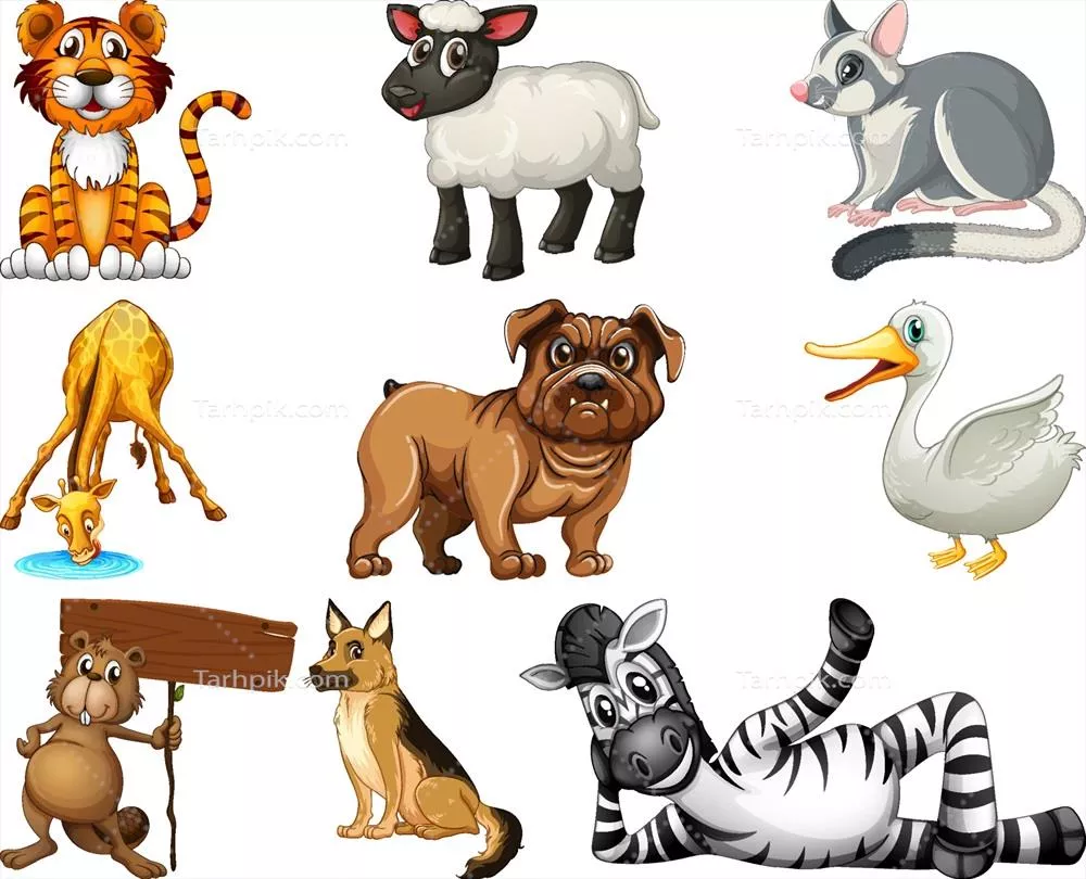 وکتور مجموعه شخصیت‌های کارتون حیوانات با ویژگی‌های منحصر به فرد و جذاب