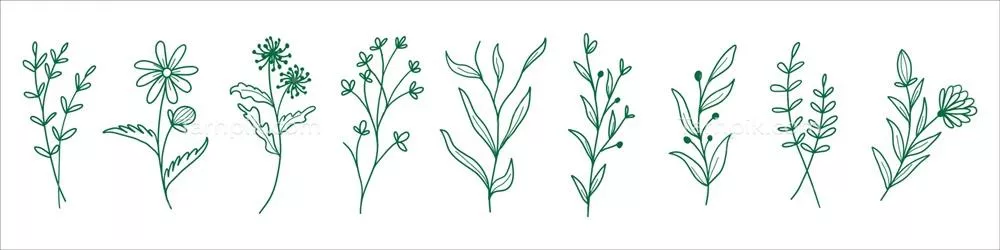 مجموعه وکتورهای برگی گیاهی در فرمت EPS10 با طراحیهای منحصر به فرد