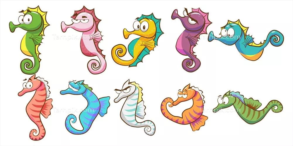 وکتور مجموعه‌ای از اسب‌های دریایی کارتونی رنگارنگ بر روی پس‌زمینه سفید