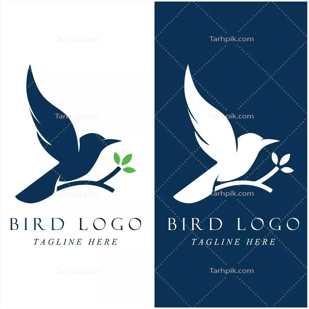 وکتور مجموعه لوگوی خلاقانه پرنده با الگوهای شعار مناسب