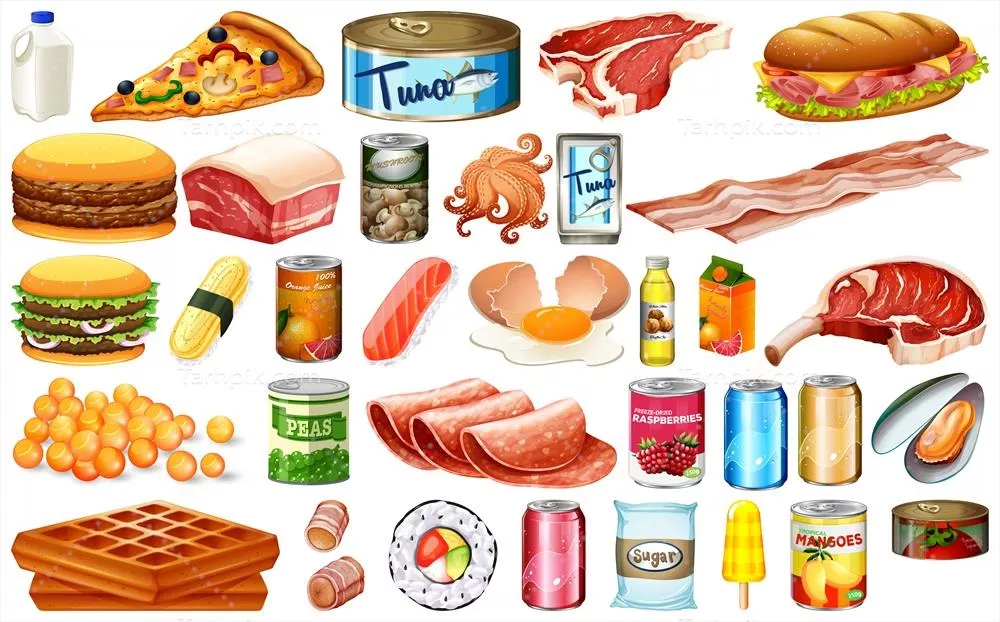 وکتور مجموعهای از تصاویر متنوع غذاها با طراحیهای خلاقانه و جذاب