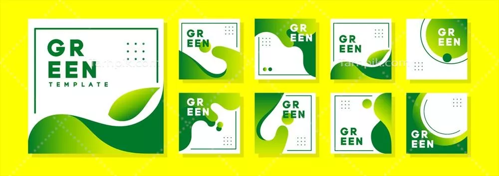 وکتور مجموعه قالبهای بنر و فید قابل ویرایش با سبک برگ سبز
