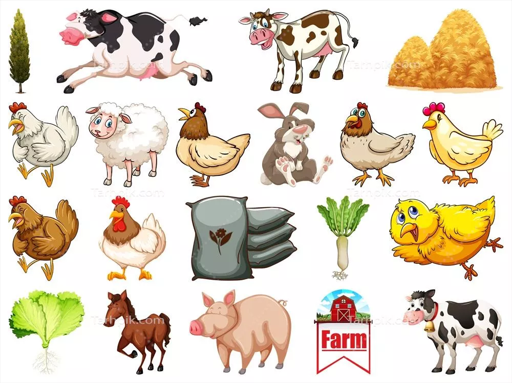 وکتور تصویرسازی مجموعه ای از حیوانات مزرعه با جزئیات زیبا و واقعی