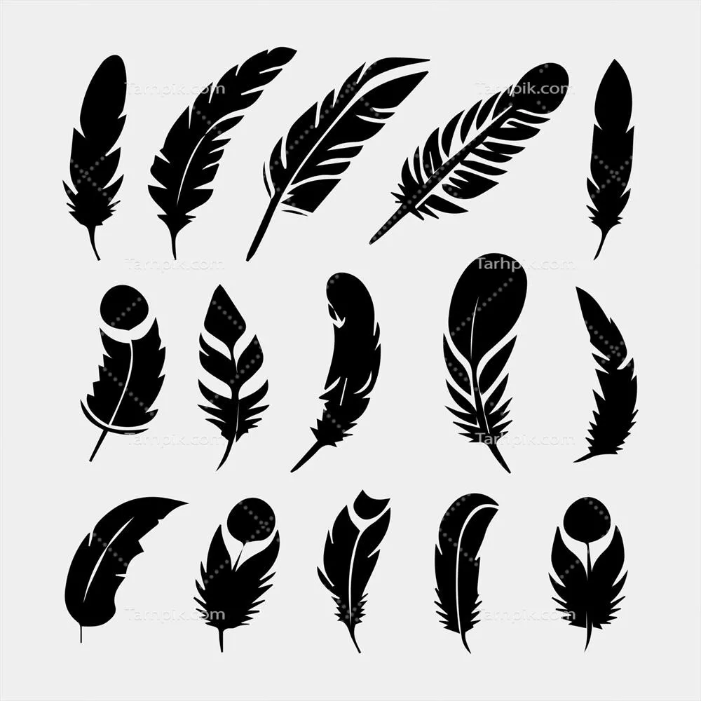 طراحی وکتور مجموعه پرها روی پسزمینه سفید به صورت ایزوله