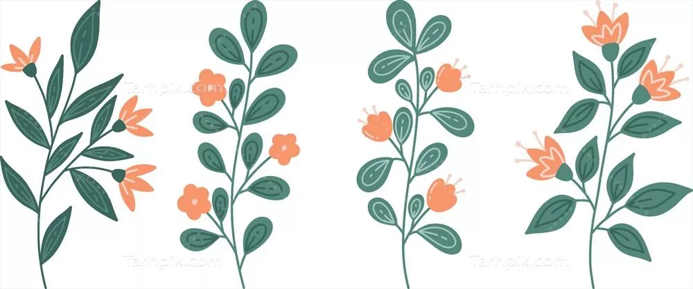 مجموعه‌ای از عناصر گل‌دار وکتور به سبک خلاقانه طراحی شده