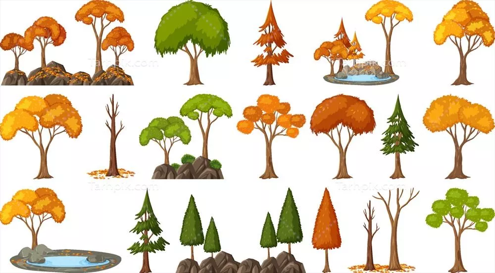 وکتور چهار فصل درختان بر روی پسزمینه سفید، زیبایی طبیعت را به تصویر میکشد