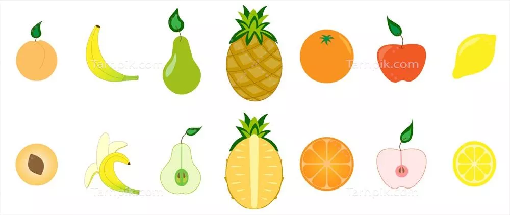 وکتور مجموعه ای از میوه ها: مجموعه ای از مرکبات و میوه های طبیعی باغی