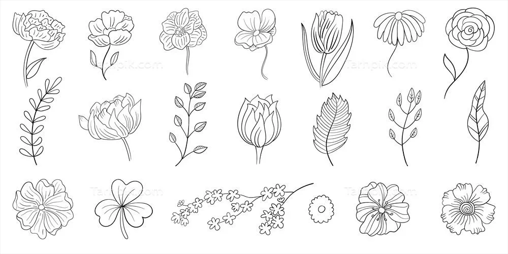 وکتور دسته ای از نقاشی های گیاهی با طرح های خطی گل ها با خطوط مشکی بر روی پس زمینه سفید