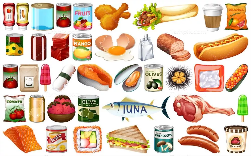 وکتور مجموعه متنوعی از طراحی‌های غذا برای الهام‌بخشی و استفاده در پروژه‌ها