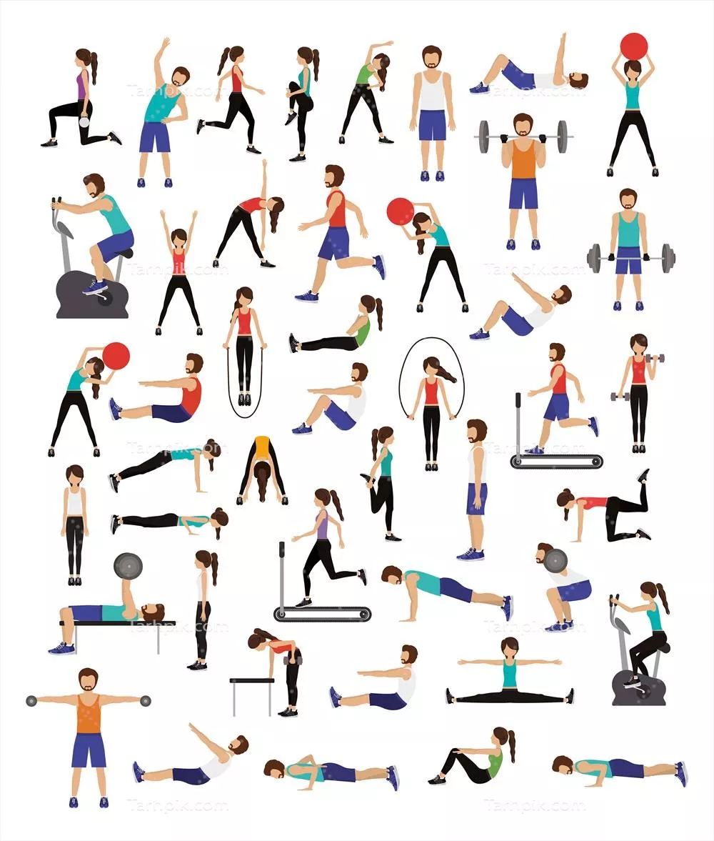 وکتور گروهی از افراد در حال انجام تمرینات ورزشی برای تناسب اندام