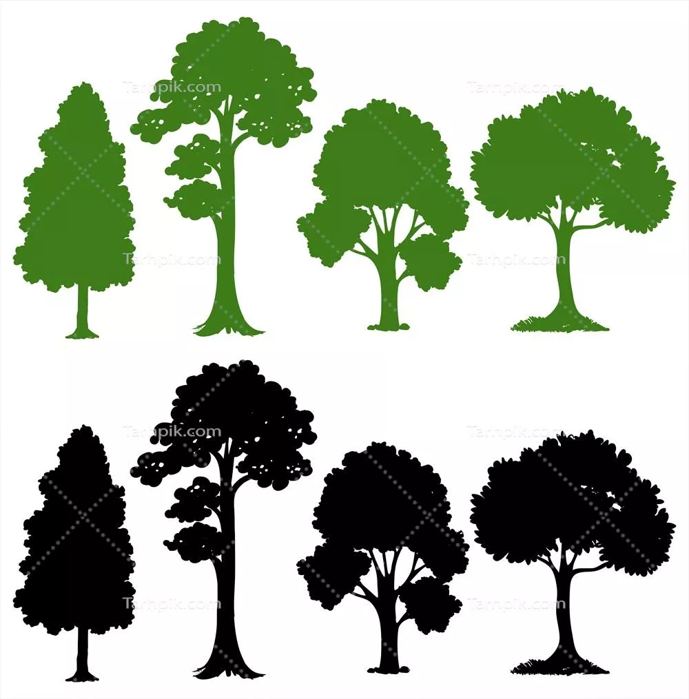 وکتور مجموعه‌ای از تغییرات سایه‌دار درختان – طراحی‌های خلاقانه و هنری