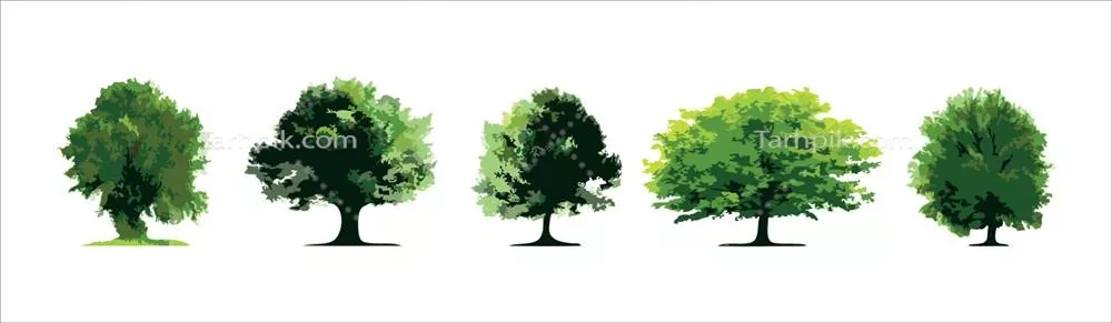 وکتور مجموعهای از درختان منفرد بر روی پسزمینه سفید