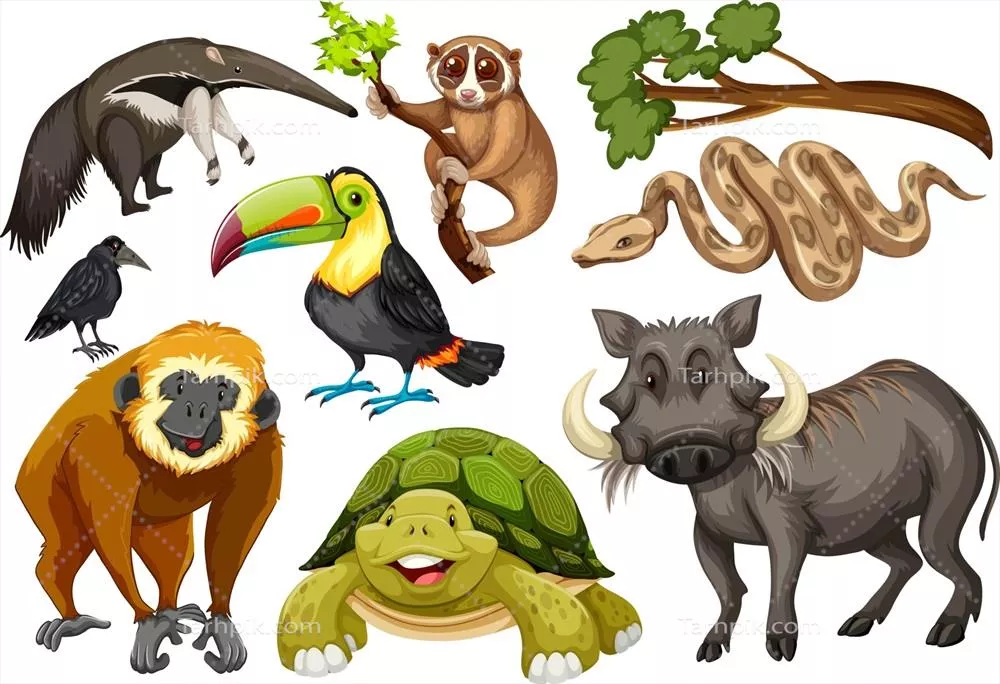 وکتور مجموعهای از حیوانات وحشی مختلف بر روی پسزمینه سفید