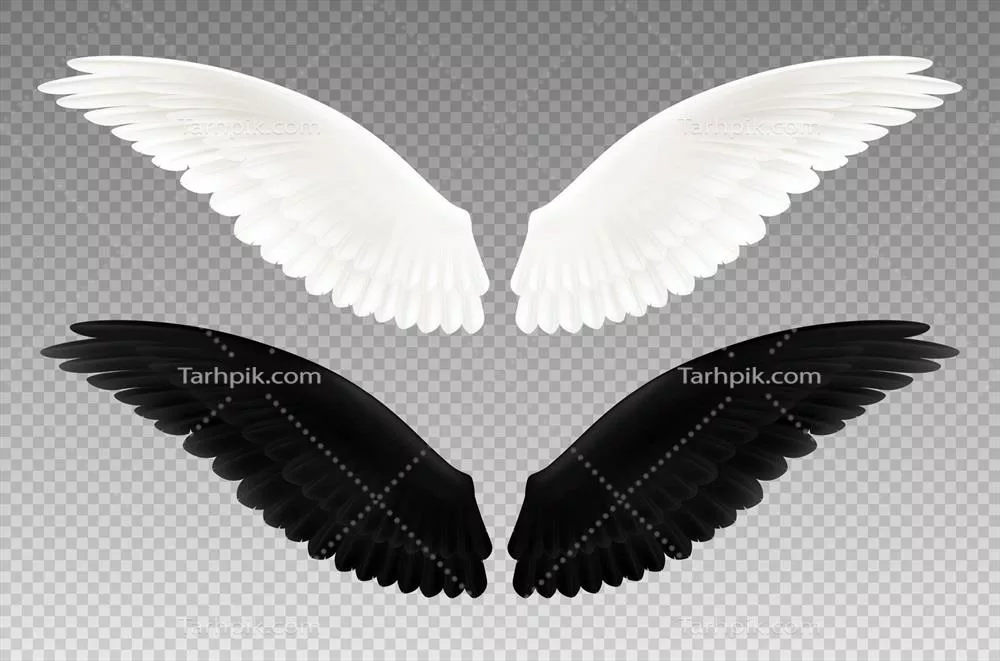 وکتور پرچم واقعی سیاه و سفید با بال های شفاف به عنوان نماد خیر و شر