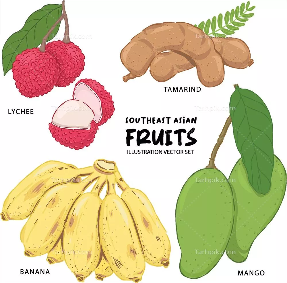 وکتور تصویر میوههای آسیای شرقی: لیچی، موز و تمرهندی در یک کادر هنری