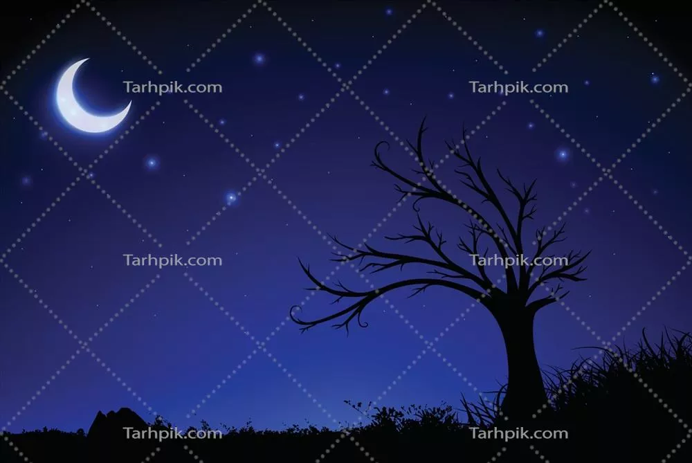 وکتور پس‌زمینه‌ای از شب پرستاره با ماه هلالی، درخت و چمن