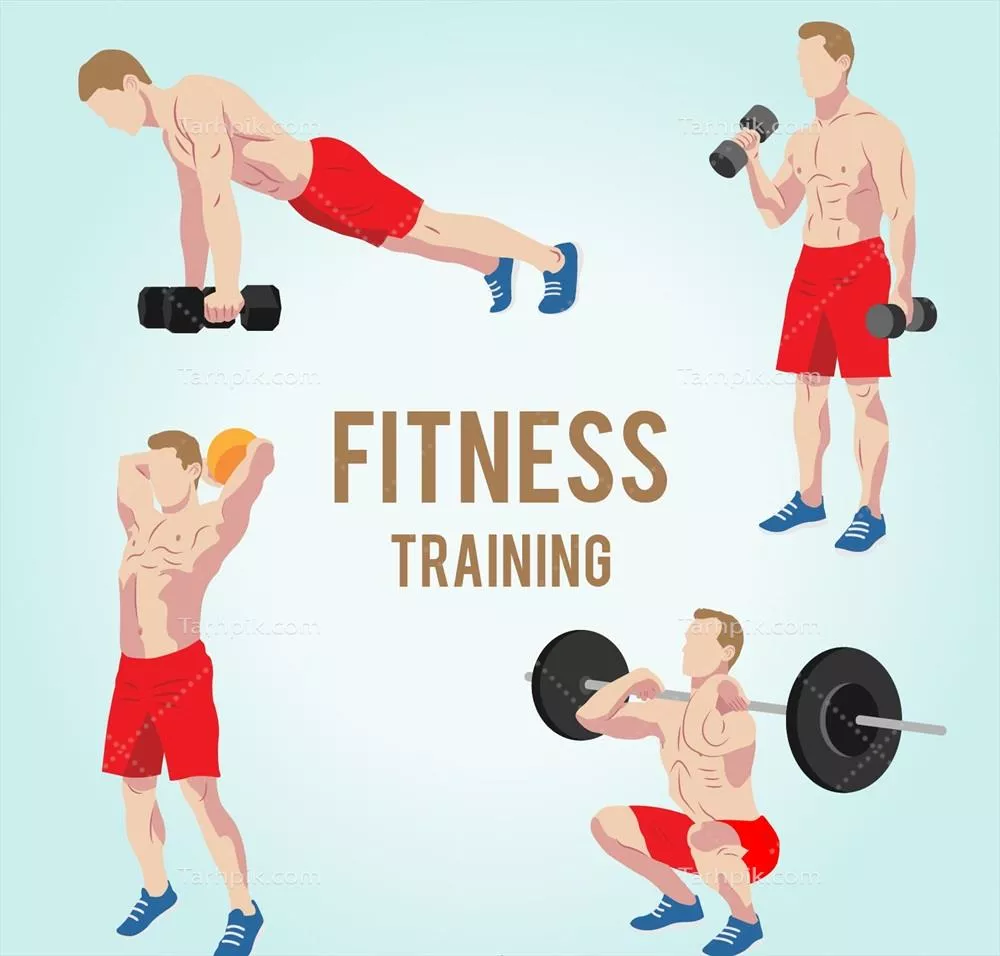 آموزش تقویت بدنی برای مردان با تمرینات قدرتی و مقایسه وکتور