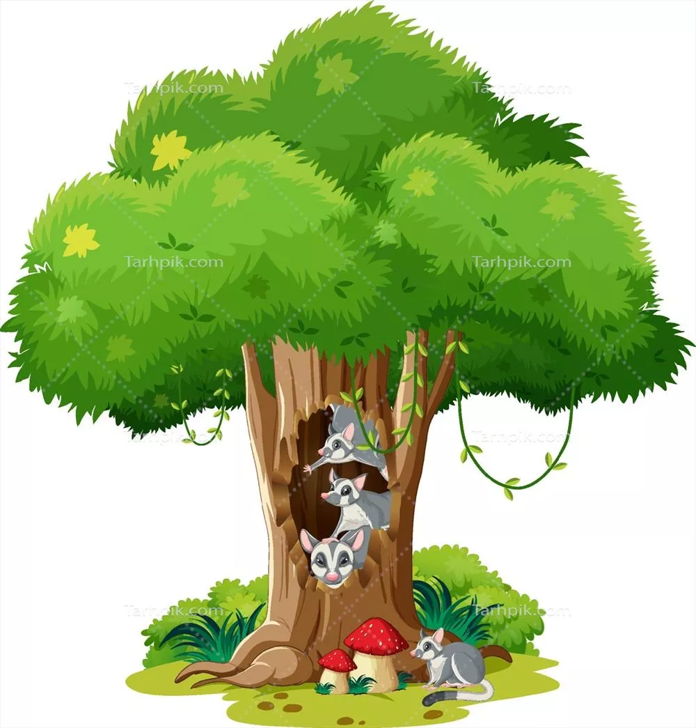 وکتور سکونت درختان توخالی: زندگی و عادتهای پرندگان شیرینپرنده