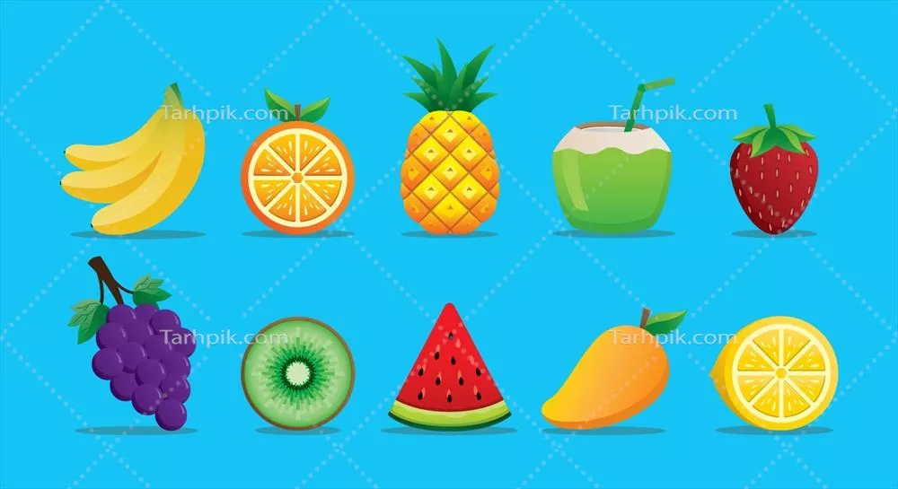 مجموعه وکتور گرافیکی میوههای تابستانی برای طراحیهای خلاقانه