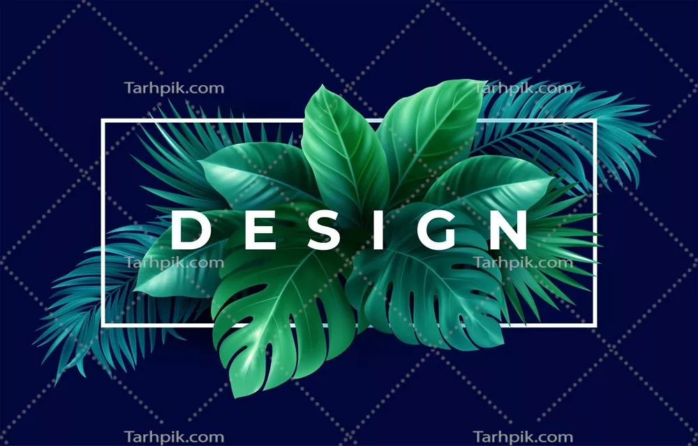 بنر طراحی تابستانی با تم استوایی و وکتورهای زیبا و زنده