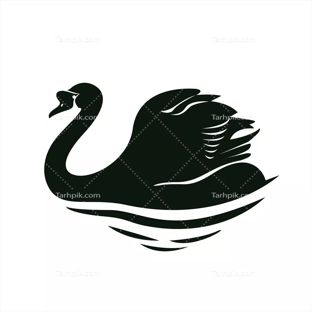 شکل سیاه‌سویی از قو با طراحی وکتور زیبا و منحصر به فرد