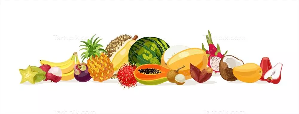 وکتور ترکیب میوه‌های تایلندی: موز، نارگیل، و هندوانه و بیشتر