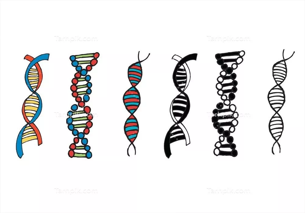 سری وکتور دبل هلیکسی: بهترین افزودنی به ارائههای علمی و پزشکی شما