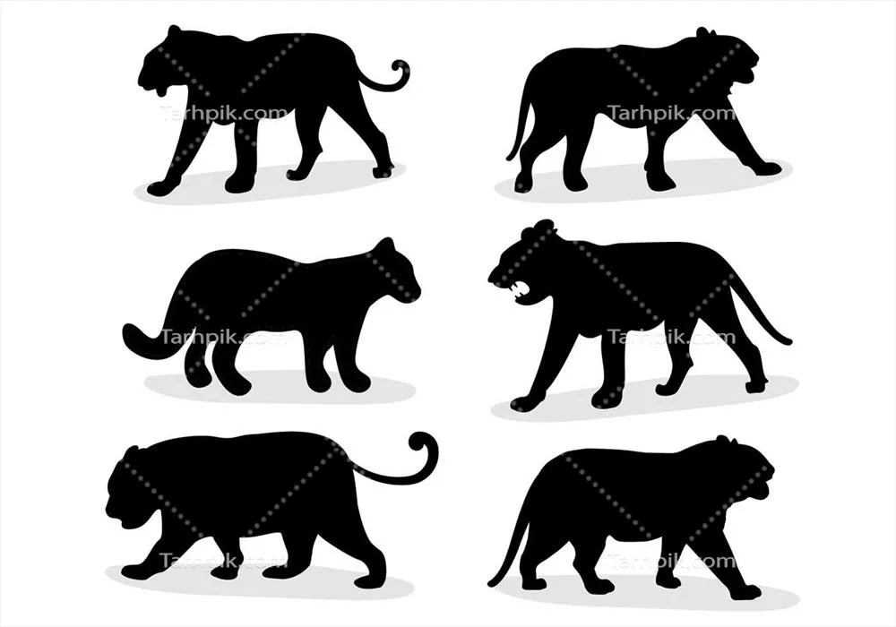 طراحی و تصویرسازی وکتور پلنگ در رنگ‌های سیاه و سفید