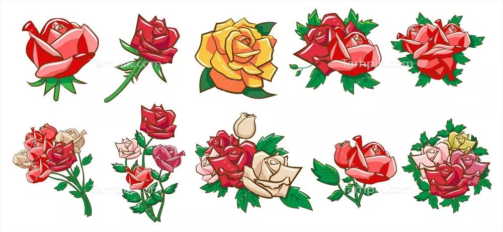 وکتور مجموعه گلهای رز با رنگها و طرحهای متنوع و زیبا